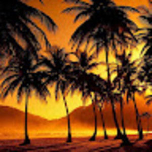 Meet your Posher, Francesca